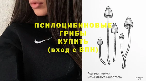 герыч Елизово