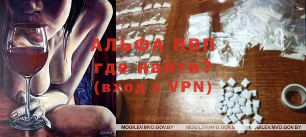 ALPHA PVP Ельня