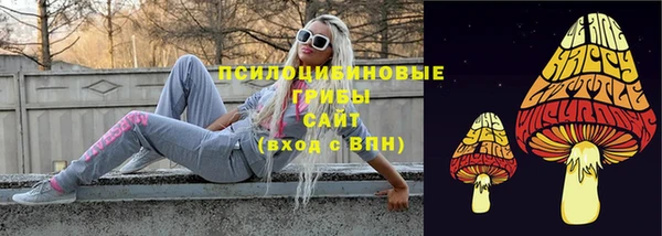 бутират Елабуга