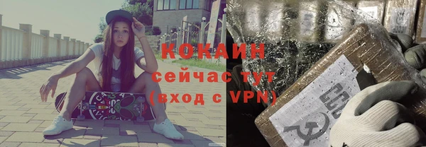 ALPHA PVP Ельня