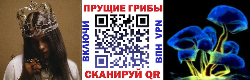 Купить закладки  Узловая  Псилоцибиновые грибы MAGIC MUSHROOMS 